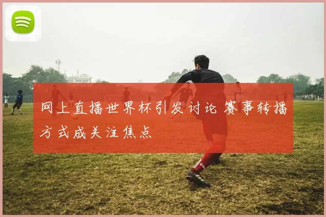 网上直播世界杯引发讨论 赛事转播方式成关注焦点