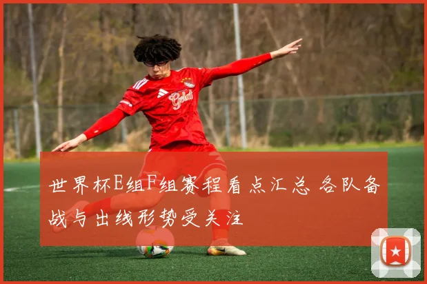 世界杯E组F组赛程看点汇总 各队备战与出线形势受关注