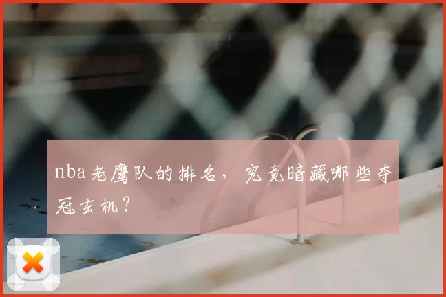 nba老鹰队的排名，究竟暗藏哪些夺冠玄机？