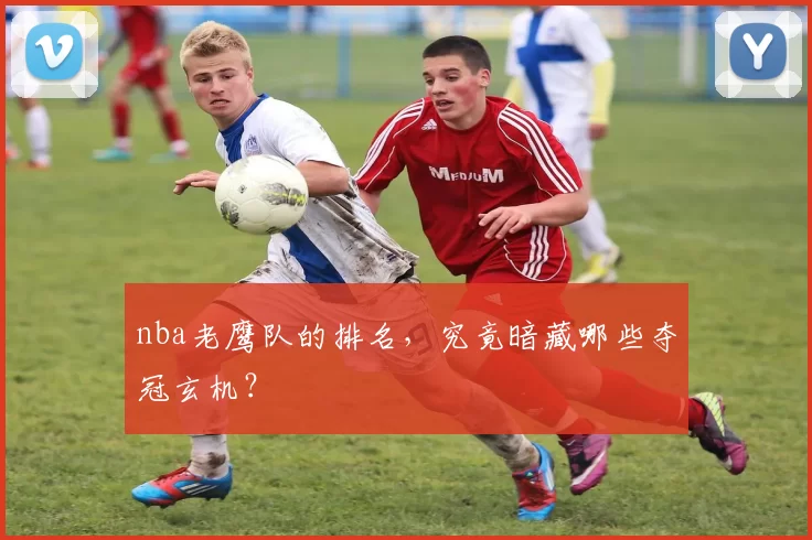 nba老鹰队的排名，究竟暗藏哪些夺冠玄机？