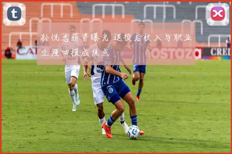 孙悦总薪资曝光 退役后收入与职业生涯回报成焦点